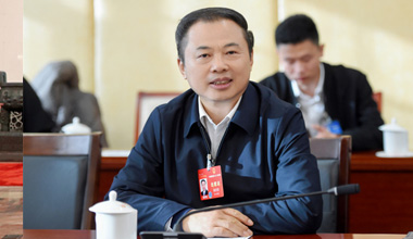 两会季丨围绕区域经济，，，，，，张天任代表提交这些建议