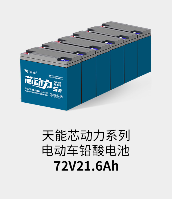 9999js金沙老品牌电池72v20ah