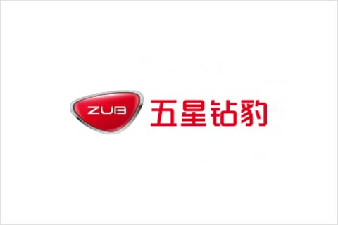 9999js金沙老品牌电池相助同伴 五星钻豹电动车
